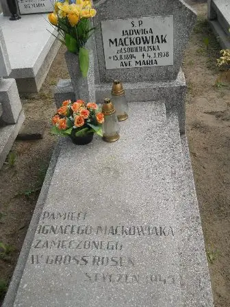 Zdjęcie grobu 23/110
