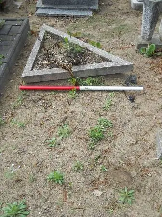 Zdjęcie grobu 38/100