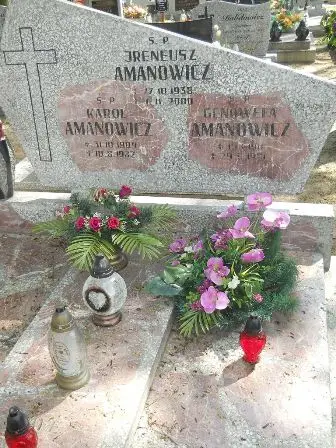 Zdjęcie grobu 26/248,249