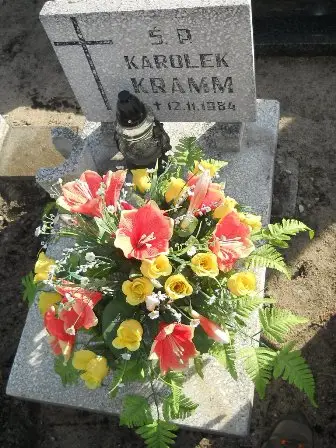 Zdjęcie grobu 100/100