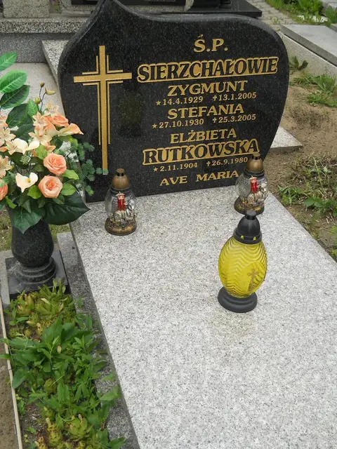 Zdjęcie grobu 7/11007