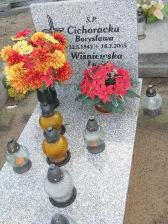 Zdjęcie grobu 8/116