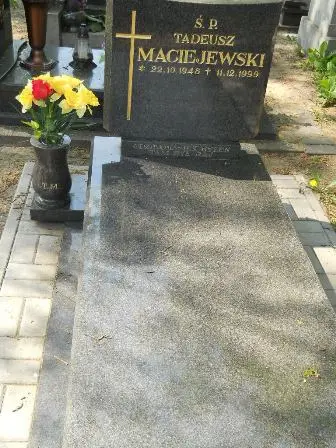 Zdjęcie grobu Ha/156a