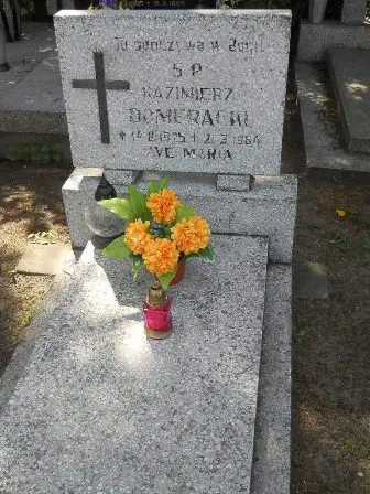 Zdjęcie grobu 25/36