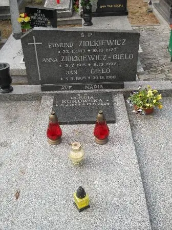 Zdjęcie grobu 38/100