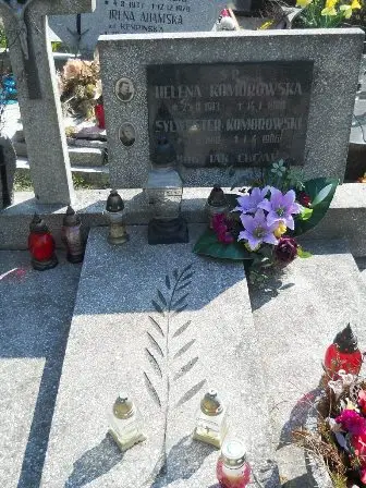 Zdjęcie grobu 42/270,271