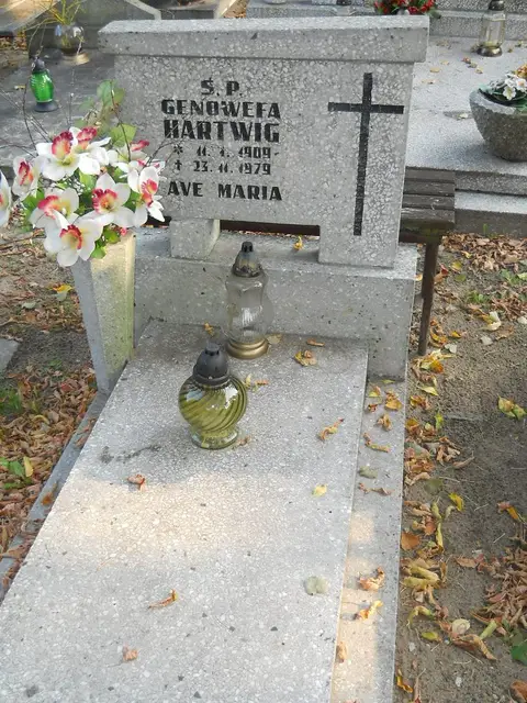 Zdjęcie grobu 15/26768