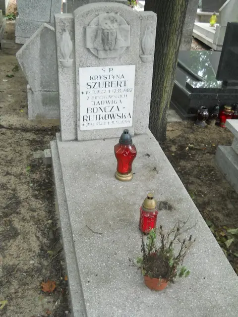 Zdjęcie grobu 13/29597