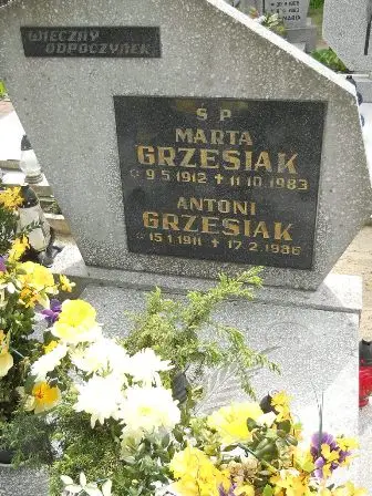 Zdjęcie grobu 21/100