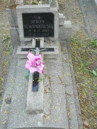 Zdjęcie grobu 7b/100