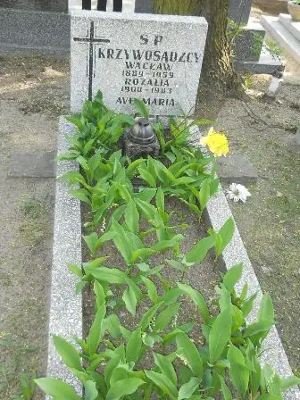 Zdjęcie grobu 31/4