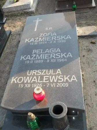 Zdjęcie grobu 4/100
