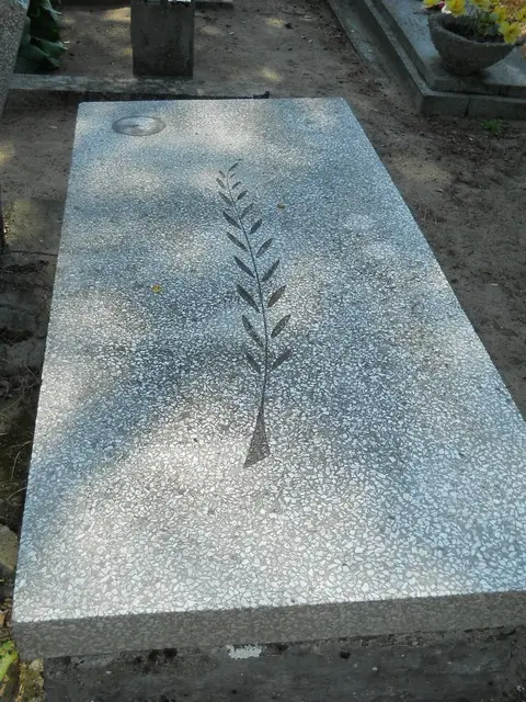 Zdjęcie grobu 14/27313