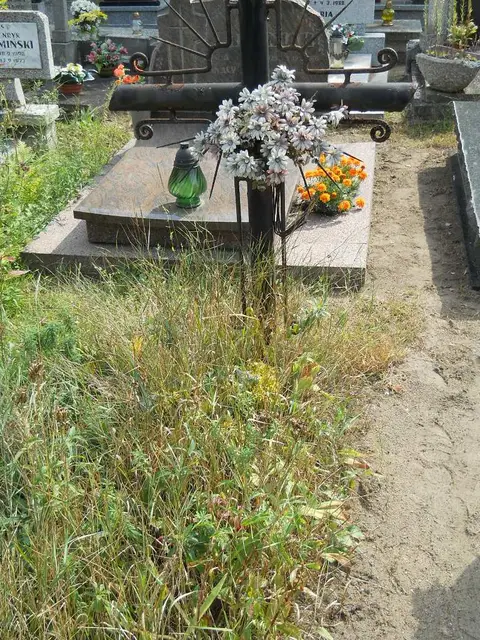 Zdjęcie grobu 16/26354
