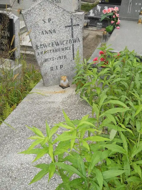 Zdjęcie grobu A/24745