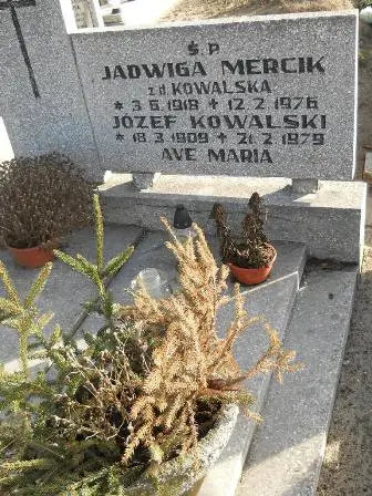 Zdjęcie grobu 6a/12,13
