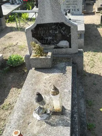 Zdjęcie grobu 14/100