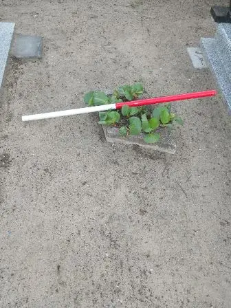 Zdjęcie grobu 44/100