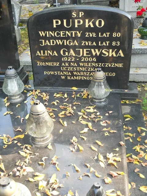 Zdjęcie grobu 15/26667