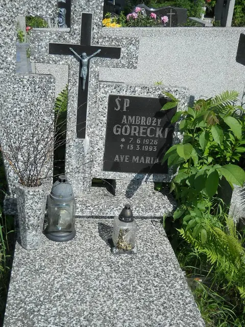 Zdjęcie grobu 7/11926