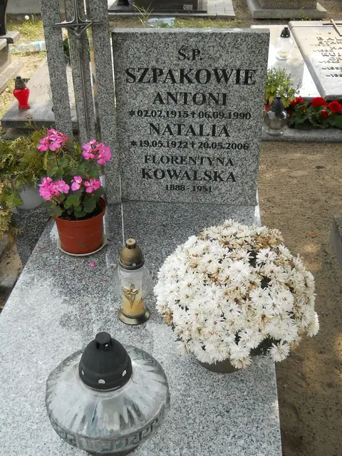Zdjęcie grobu 16/26379