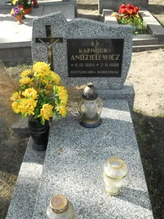 Zdjęcie grobu 27/291