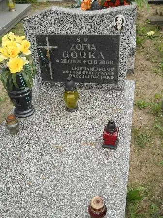 Zdjęcie grobu 22/100