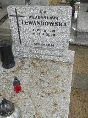 Zdjęcie grobu 26/337