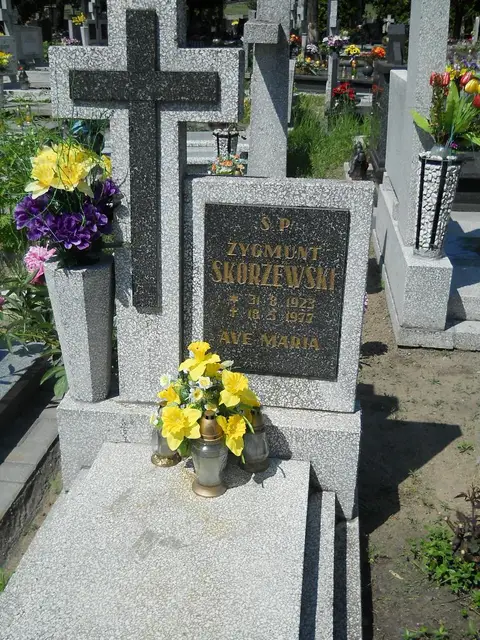 Zdjęcie grobu 7/11815