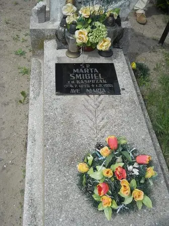 Zdjęcie grobu 20/100