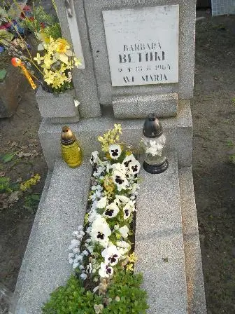 Zdjęcie grobu 7b/124