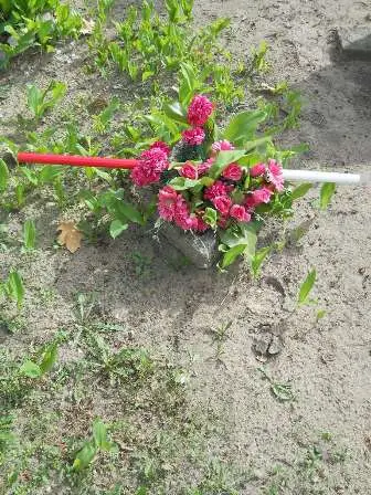 Zdjęcie grobu 27/100