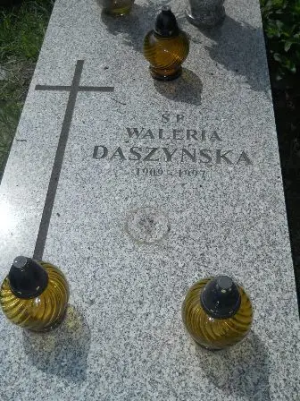 Zdjęcie grobu 35/100