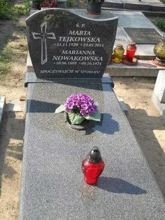 Zdjęcie grobu 14/100