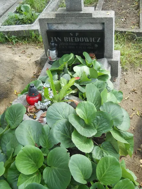 Zdjęcie grobu 16/26247
