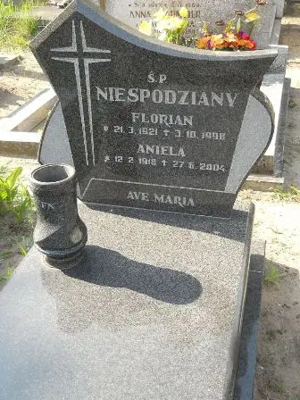 Zdjęcie grobu 20/100