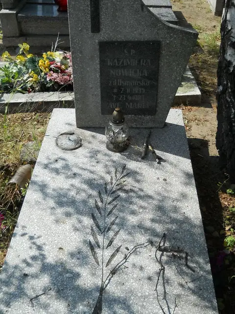 Zdjęcie grobu 18/28485