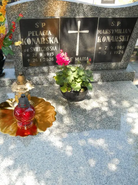 Zdjęcie grobu 8A/10229