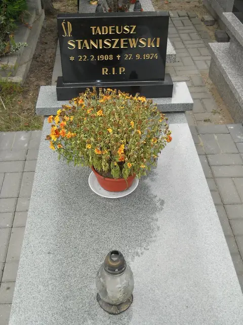 Zdjęcie grobu 9/24512