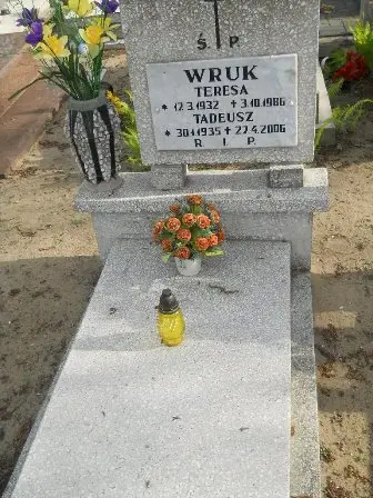 Zdjęcie grobu 9/100