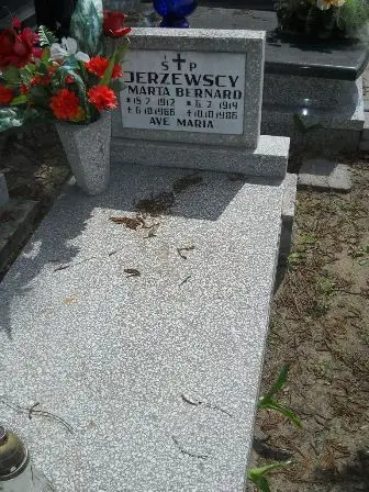 Zdjęcie grobu 25/2