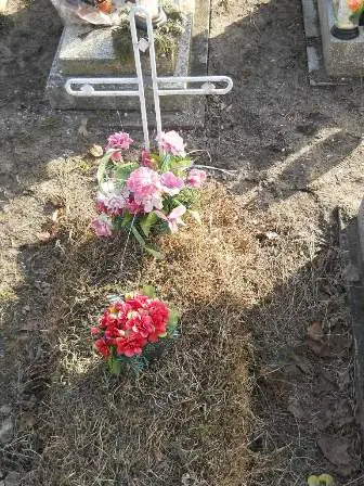Zdjęcie grobu 100/100