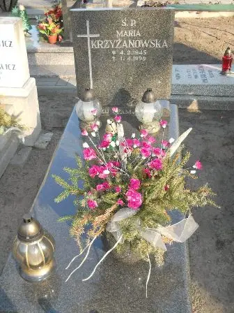 Zdjęcie grobu Dz/39