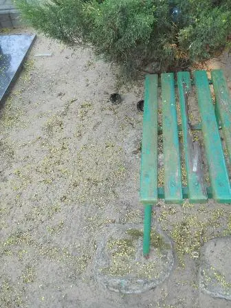 Zdjęcie grobu 32/100
