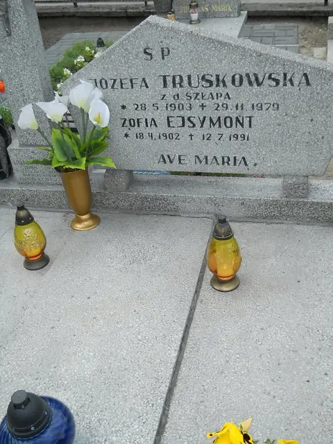 Zdjęcie grobu 7/11699