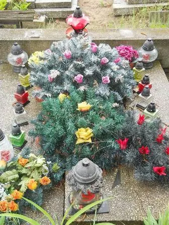 Zdjęcie grobu 36/311,312