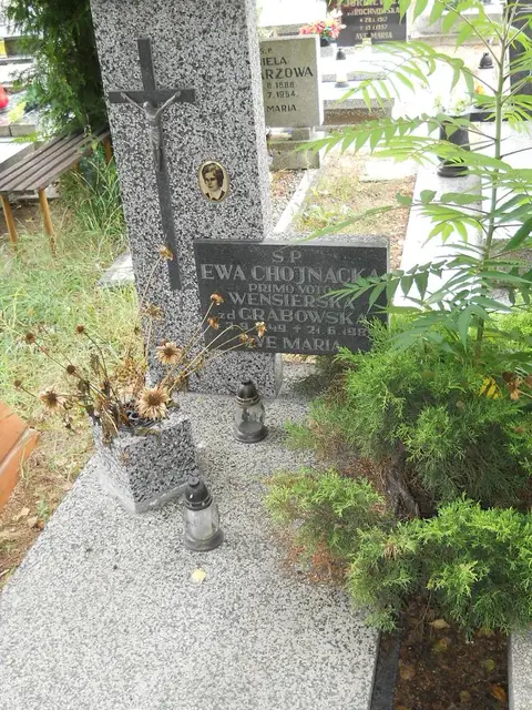 Zdjęcie grobu 16/26190