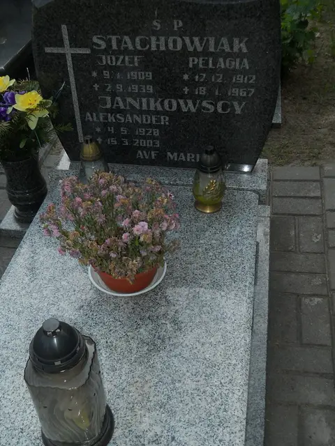 Zdjęcie grobu 8/10530
