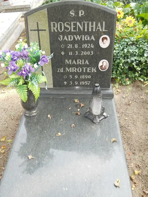 Zdjęcie grobu 15/26588