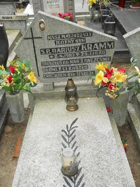 Zdjęcie grobu 12/29503